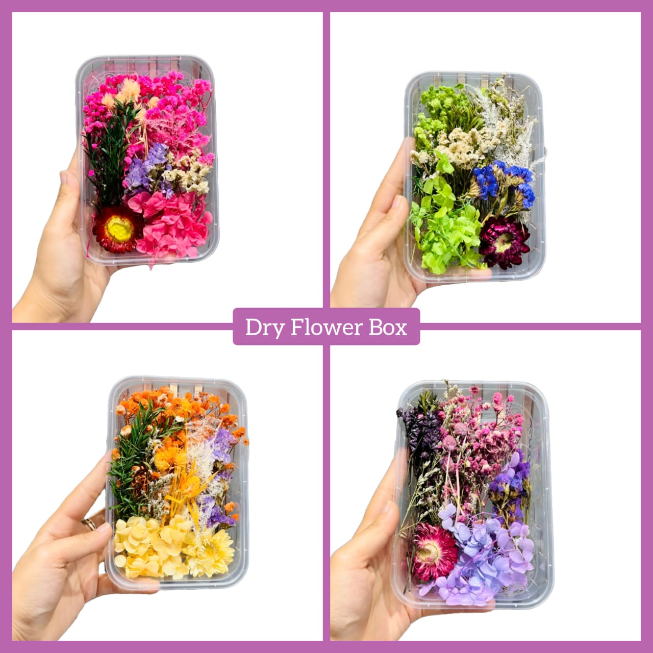 Dry Flower Box